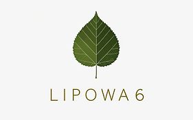 Lipowa 6 Łagów Lubuski